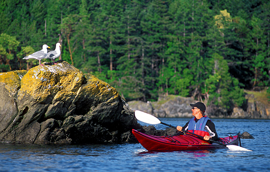 Kayaking In Canada