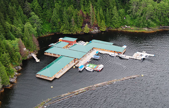 Bear watching at Knight Inlet Lodge Bear watching at Knight Inlet Lodge - Bear watching at Knight Inlet Lodge