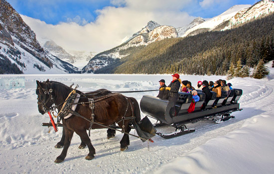 Lake Louise sleigh ride - Lake Louise sleigh ride