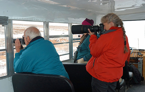 Tundra Buggy escorted group tours - Tundra Buggy escorted group tours