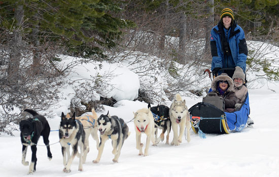 Absolute highlight of the trip – the dogsledding while it was snowing
