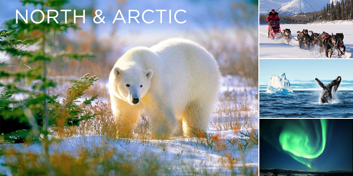Canadian Arctic