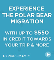 Experience the Polar Bear Migration - with up to $550 in credit to use towards your trip and more
