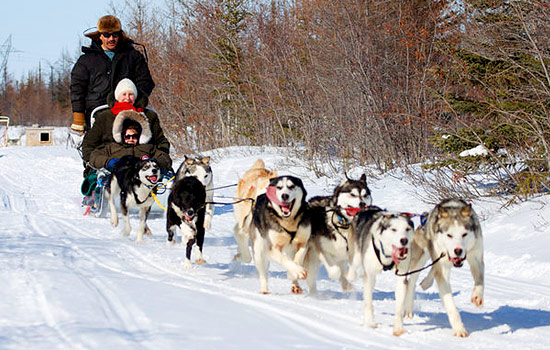 Canadian train - Canadian pacific railway - And learn about life in the far north or try dogsledding.