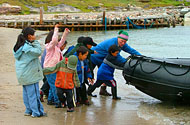 Churchill's Belugas and Bears Summer Adventure