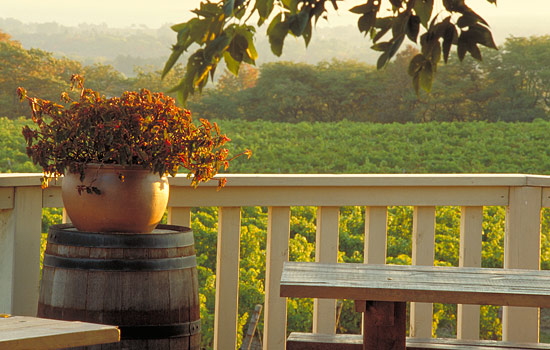 Canada vacation - Canada tours - Start your trip indulging and unwinding in the lush Niagara Valley.