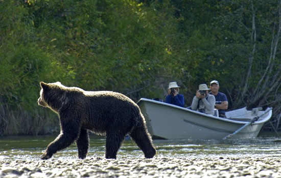Arrive in Whistler and join in the fun.
