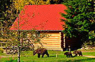 Canada's Pacific Northwest Lodges by Land, Sea and Air