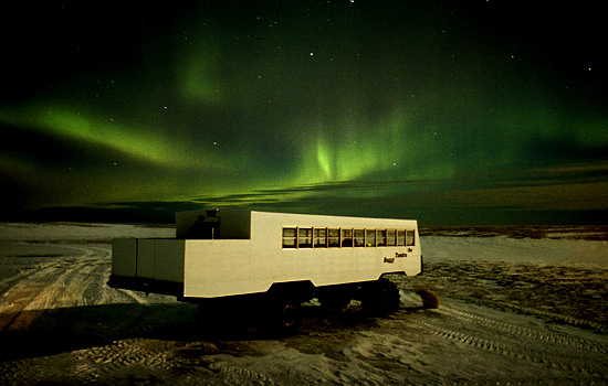 On this safari you sleep in the Tundra Buggy Lodge, surrounded by Churchill Canada polar bears.