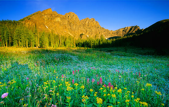 Canadian railway - Canadian train - Start your trip with a tour from Banff to Jasper, marvel at the beauty surrouding you.