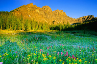 Complete Canadian Rockies by Rail with Alaska Inside Passage Cruise