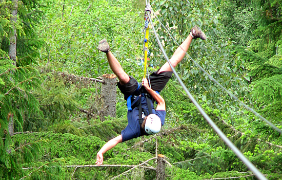  - Yahoo! Let loose on this exciting ziptrek adventure through the Whistler forest!