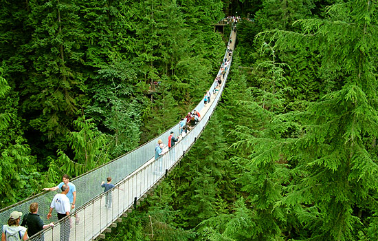 Starting in Vancouver you are so close to the wilderness on a tour of the Capilano Suspension Bridge.