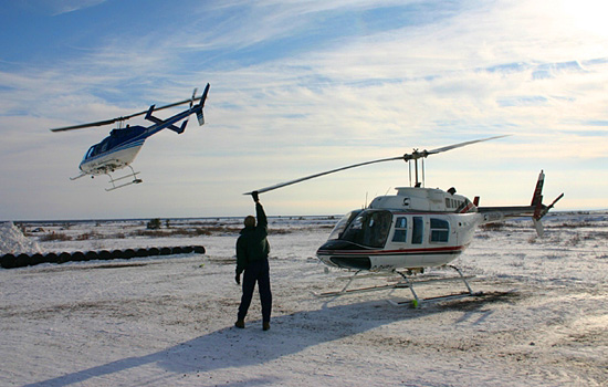 Canada travel - Canada vacations - You can also choose to take a helicopter ride over the tundra and the bears…