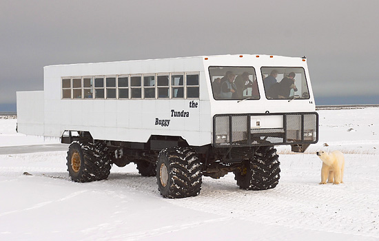 Canada travel - Canada vacations - Here, on the edge of Hudson Bay, you'll go on safari in a 'Tundra Buggy'…