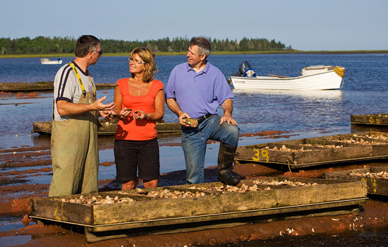  - Learn about the local economy in Digby.