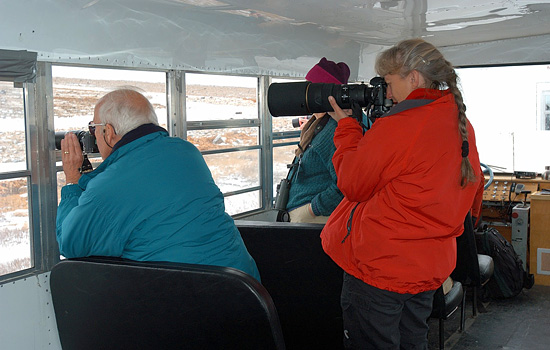 This is a special safari for those who want to bag that perfect shot of Churchill polar bears…