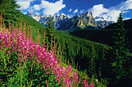 Discover Whistler and the Canadian Rockies by Rail