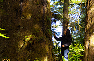 Canadian Rockies to Rainforest Self Drive and Rail Holiday