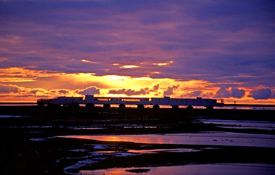 This is a slightly longer trip than the Express, giving you more time on Churchill polar bear tours…
