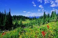 Rockies, Islands and Gardens by Rail