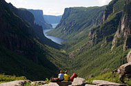 Wild Newfoundland Self Drive