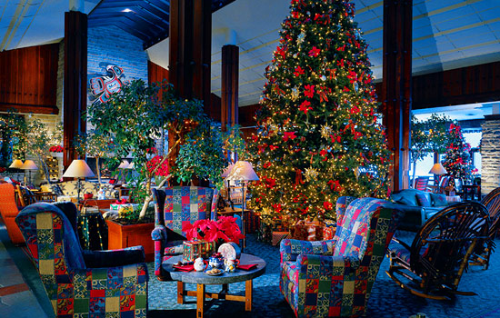 Canadian railway - Canada rail - Indulge in Lake Louise's winter splendor
