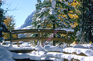Wintertime in the Canadian Rockies by Rail